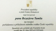 Приглашение в Чехию