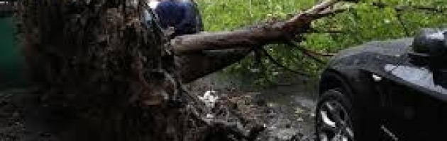 Жертвами урагана в Москве и области стали 16 человек, около ста пострадавших находятся в больницах