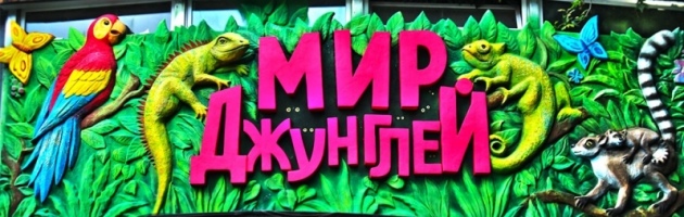 Школьники смогут бесплатно посетить Алуштинский аквариум в День знаний